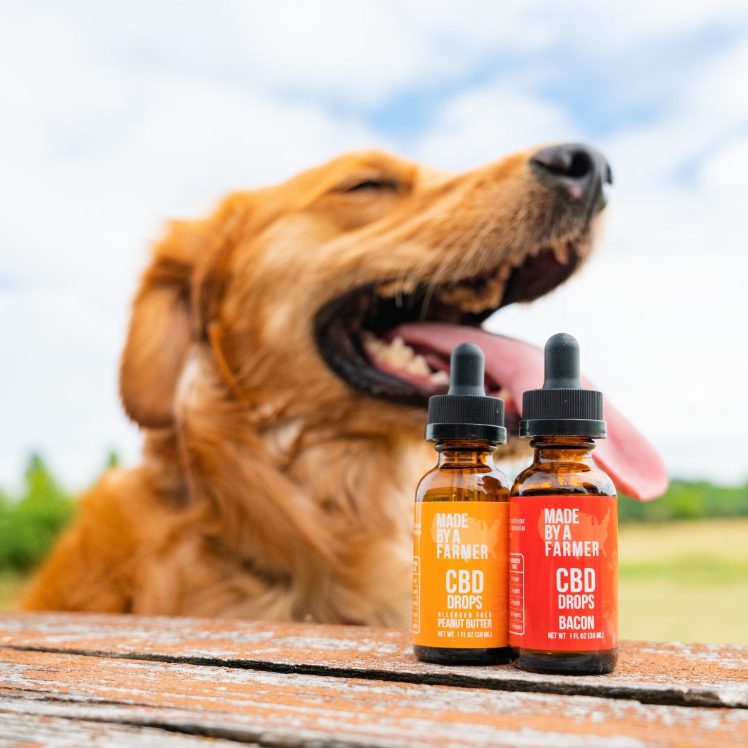Peanut Butter CBD Pet Tincture - Image 6